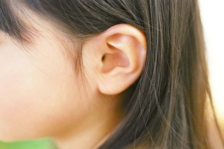 耳の病気画像